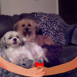 Meet your Posher, Lillian